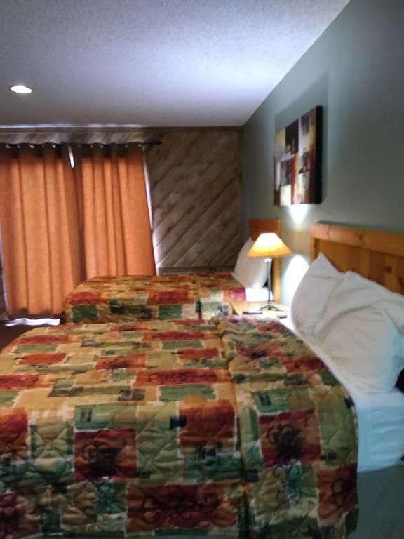 Lodge At Turkey Cove Canyon Lake Buitenkant foto